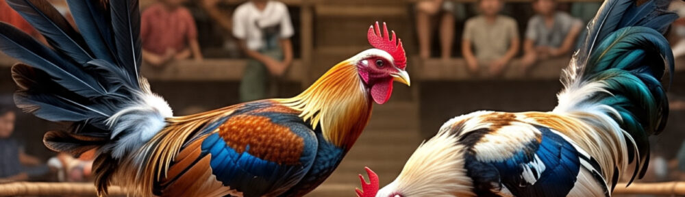 Menyaksikan Pertarungan Ayam Secara Langsung dengan Mudah